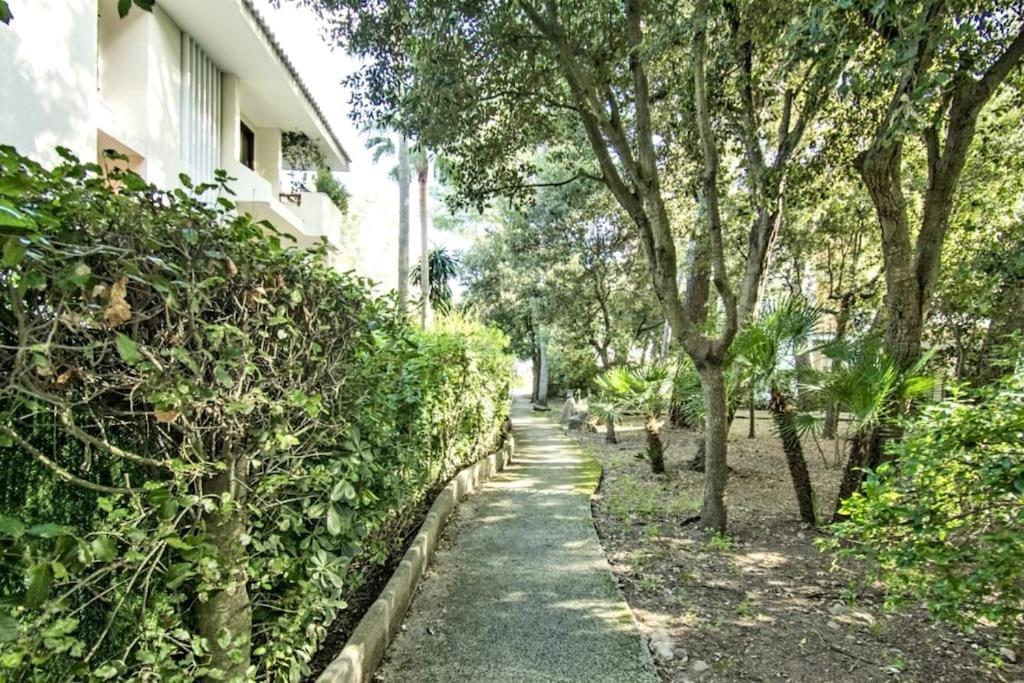 Fantastico Apartamento Con Wifi ปอร์ต เด โปเญนซา ภายนอก รูปภาพ